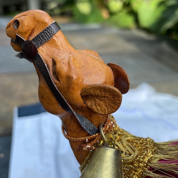 Camel from India - Picture 3 of 15